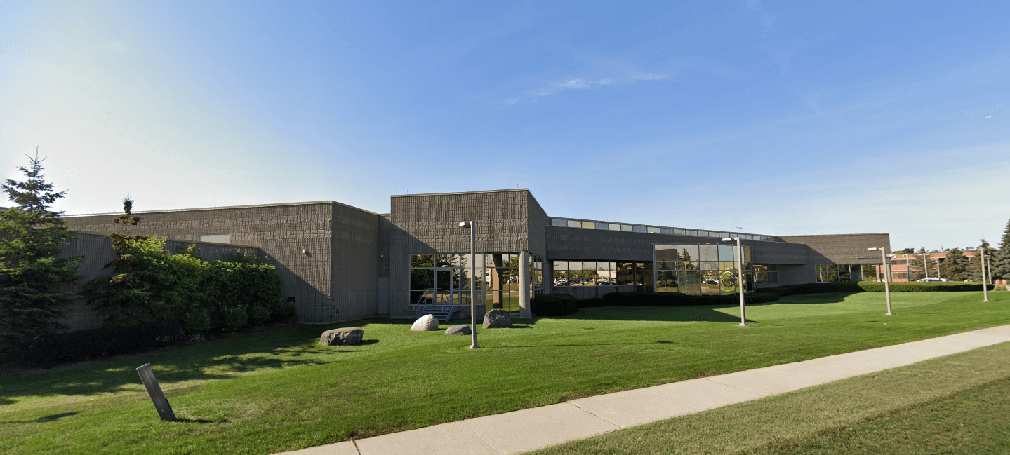 Grass, Plant, Lawn
