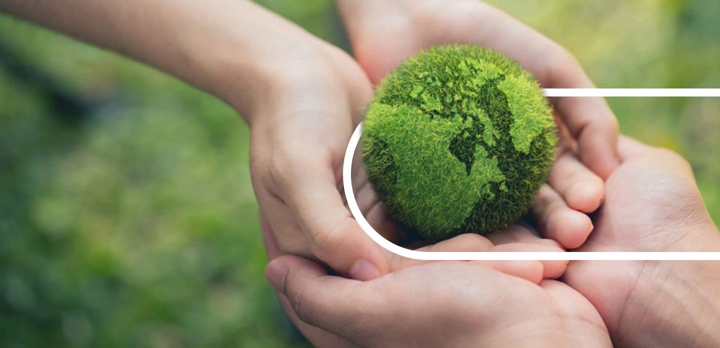 Moss, Plant, Vegetation