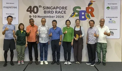 Nature Society’s Singapore Bird Race continues to raise awareness of bird migration on its 40th anniversary